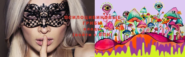 первитин Белокуриха